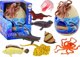 LeanToys Σετ Παιχνίδι με Φιγούρες Θαλάσσιων Ζώων και Φυτά, 26 Τεμάχια, για Παιδιά 3+ Ετών