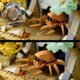LEGO 10366 Icons - Tropikalne akwarium