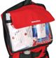 Lifesystems Apteczka Solo Traveller (LM1065)