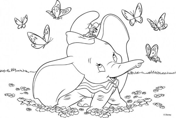 Lisciani Παζλ Dumbo Maxi Διπλής Όψης 35 Τεμάχια 70x50cm, Εκπαιδευτικό Παιχνίδι για Παιδιά 3+ Ετών