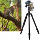 Μονοκιάλι Kf Luneta 12x50 mm 12x50 Bak-4 Fmc