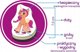 Maksik Meganesy My Little Pony Przyjaciele ME5031-22
