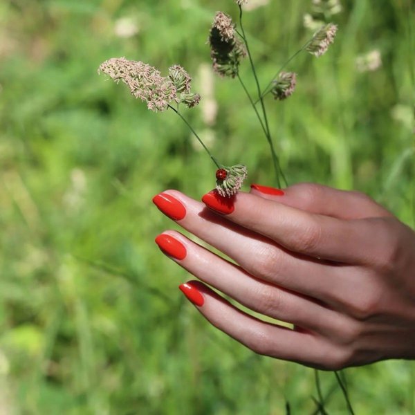 MANUCURIST_Green Nail Polish lakier do paznokci Red Coral 15ml