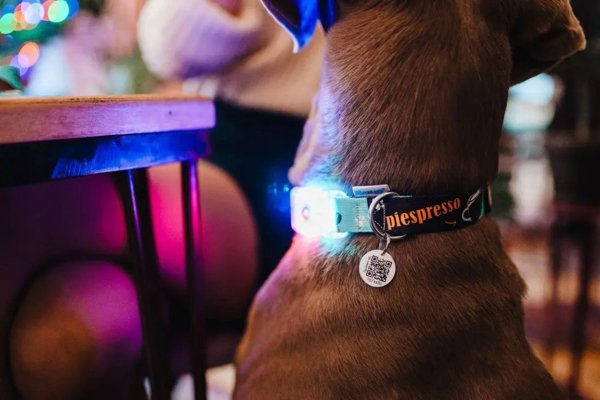 Matteo MATTEO ΠΕΡΙΛΑΙΜΙΟ ΜΕ ΠΟΡΠΗ LED PIESPRESSO 20mm/35-50cm
