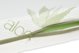 Ορθοπεδικό στρώμα FLORA, 120x60x10