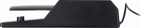M-Audio SP-2 Πεντάλ Sustain για Πιάνο και Keyboard, Universal Συμβατότητα, 6.35mm, Μαύρο/Ασήμι