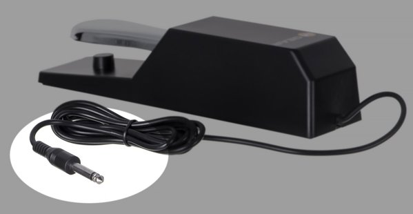 M-Audio SP-2 Πεντάλ Sustain για Πιάνο και Keyboard, Universal Συμβατότητα, 6.35mm, Μαύρο/Ασήμι