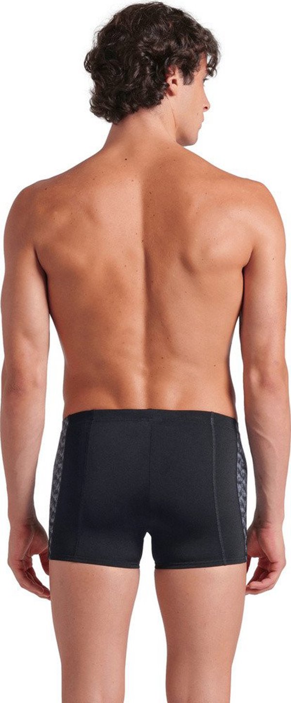 Mens Arena Monogram Swim Short
