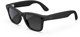 META Ray-Ban Wayfarer G2 Schwarz matt (polarisiert) AI Glasses