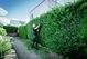 Metabo Metabo HS 18 LTX BL 55 Cordless Hedgecutter