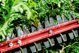 Metabo Metabo HS 18 LTX BL 55 Cordless Hedgecutter