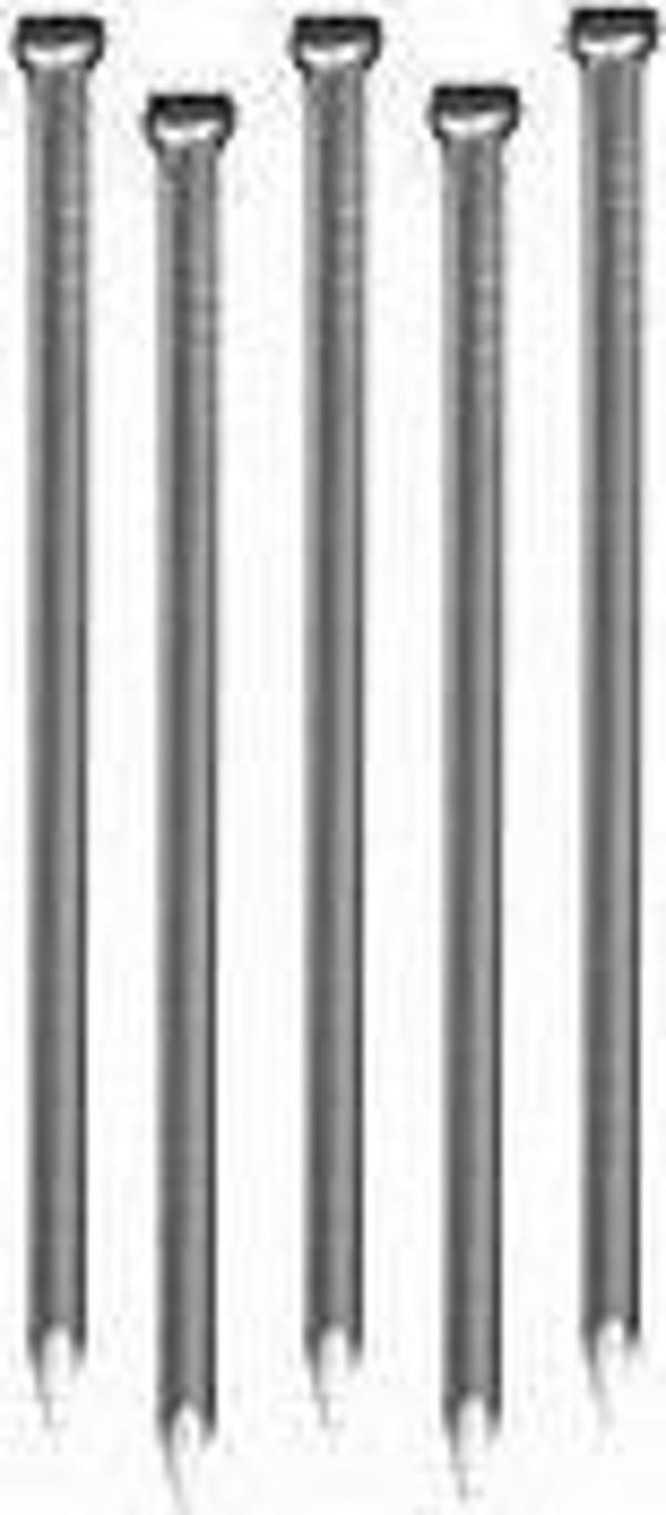 Metalurgia GWODZIE STOLARSKIE OCYNKOWANE 1.4*25MM [jm.KG] - 901 25 ZN
