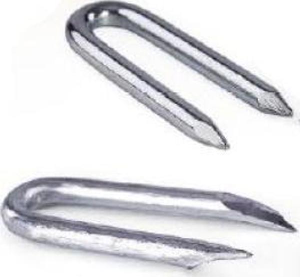 Metalurgia GWOZDZIE SKOBLE OCYNKOWANE 2.0*20MM