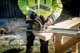 Metabo Metabo KS 18 LTX 57 BL cordless Hand circular saw