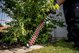 Metabo Metabo HS 18 LTX 55V Cordless Hedgecutter