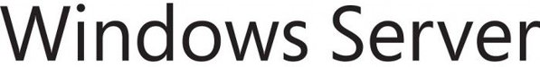 Microsoft Windows Server CAL 2022 CZ 5 Clt User CAL OEM