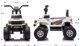 Milly Mally Ηλεκτροκίνητο Αυτοκίνητο Ford F-150 Raptor White 12V για Παιδιά