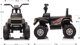 Milly Mally Ηλεκτροκίνητο Αυτοκίνητο Ford F-150 Raptor Black, 12V
