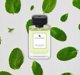 Mint and Wood Eau de Parfum 100ml