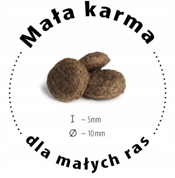 Mini Ireland, karma sucha, dla psa, 300g