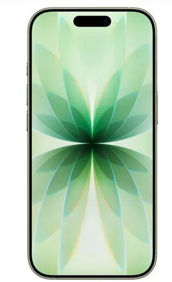 MOBILE PHONE IPHONE 17/256GB SAGE MG6N4 APPLE