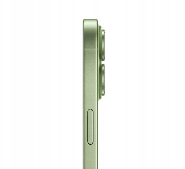MOBILE PHONE IPHONE 17/256GB SAGE MG6N4 APPLE