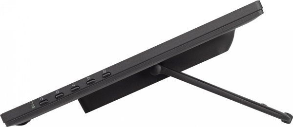 Οθόνη iiyama ProLite T2455MSC-B1