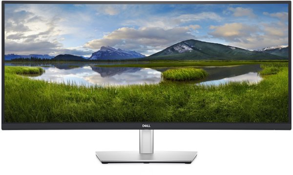 Monitor tecXL Dell P3421W - LED-Monitor - zakrzywiony - (34.14")