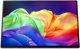 Monitor Acer ProDesigner PE160WSMIUUX (UM.ZP0EE.001)