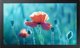 Samsung QB13R-M Επαγγελματική Οθόνη 13" Full HD 1920x1080 16:9 (LH13QBRMBGCXEN)