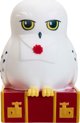 Moose Toys Harry Potter Φωτιστικό Κουκουβάγια 2 σε 1 - Παιδικό Φωτιστικό Δωματίου 12250351