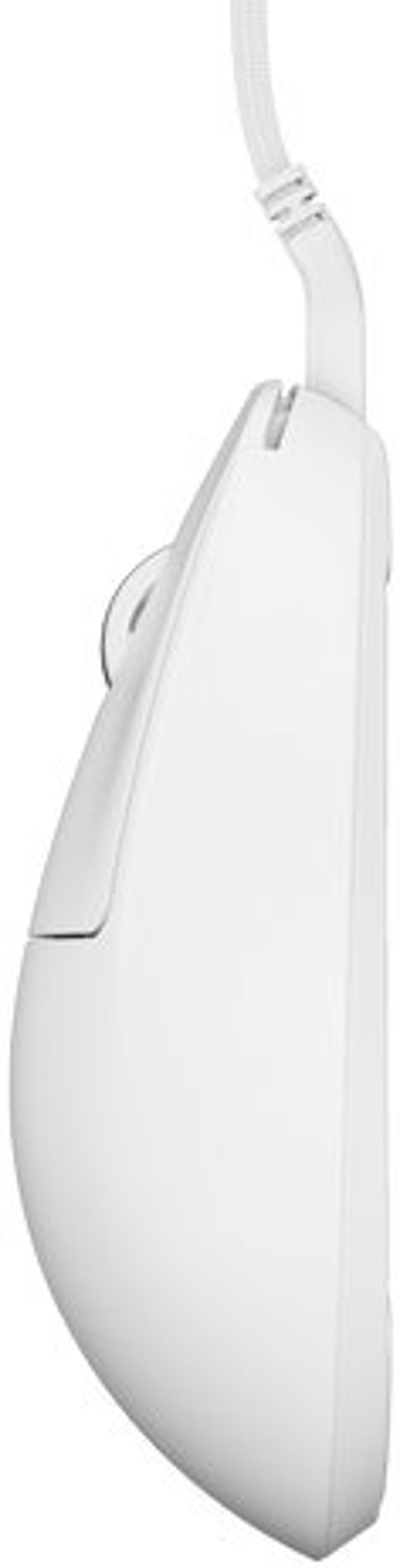 MOUSE USB OPTICAL X2/MEDIUM WHITE PX2222D PULSAR PX2222D (8809773556224)