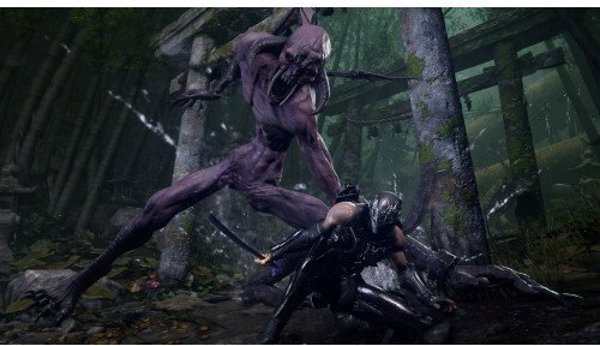 MS ESD NINJA GAIDEN 4: Standard Edition XXL MS