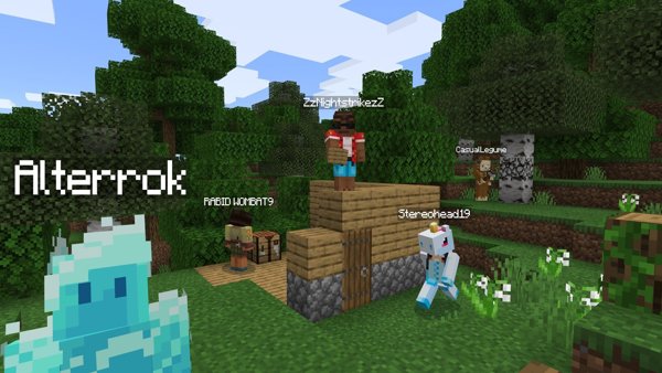 MS ESD Minecraft JavaBdrck Dlx XXS ML