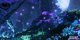 MS ESD Avatar Frontiers of Pandora Std XXS ML