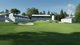 MS ESD PGA Tour 2K25 Legend Edition XXS ML
