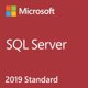 MS SQL Svr Standard Edtn 2019 English DVD 10 Clt (nur als 10er Pack buchbar)