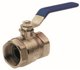 MT WATER VALVE 4092065 2 1/2INFF LONGHANDLE