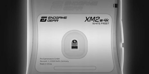 Endgame Gear XM2w 4K Ασύρματο Gaming Ποντίκι - White Frost