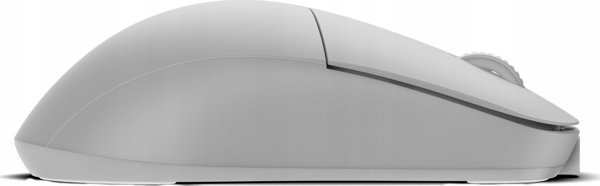 Endgame Gear XM2w 4K Ασύρματο Gaming Ποντίκι - White Frost