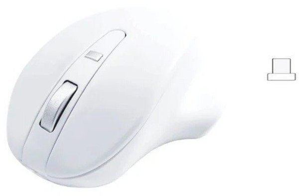 Mysz bezprzewodowa - Wireless USB-C Pro Mouse White