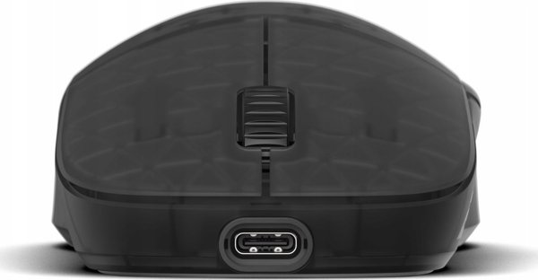 Endgame Gear XM2w 4K Ασύρματο Gaming Ποντίκι - Dark Frost