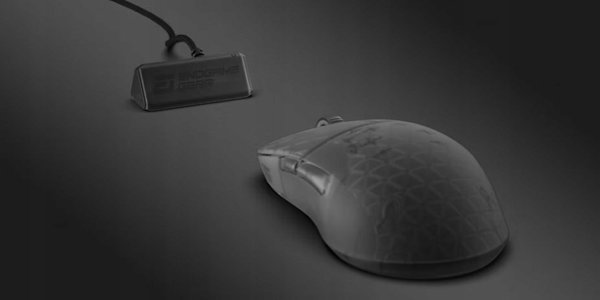 Endgame Gear XM2w 4K Ασύρματο Gaming Ποντίκι - Dark Frost