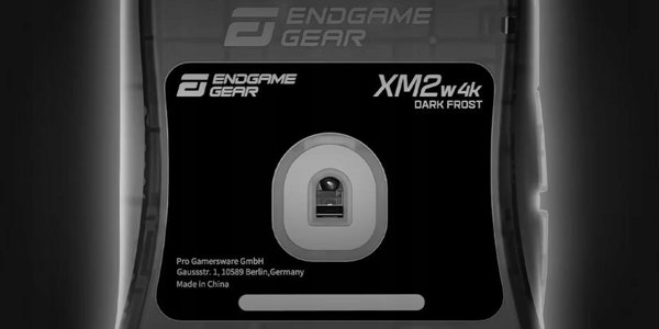 Endgame Gear XM2w 4K Ασύρματο Gaming Ποντίκι - Dark Frost
