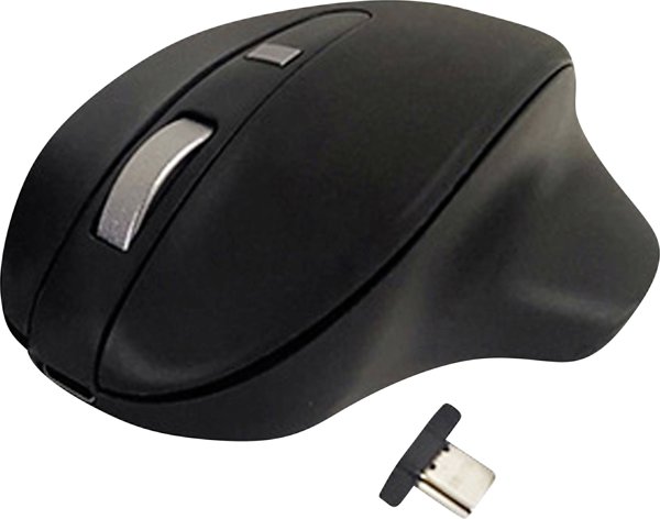 Mysz bezprzewodowa - Wireless USB-C Pro Mouse Black