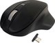 Mysz bezprzewodowa - Wireless USB-C Pro Mouse Black