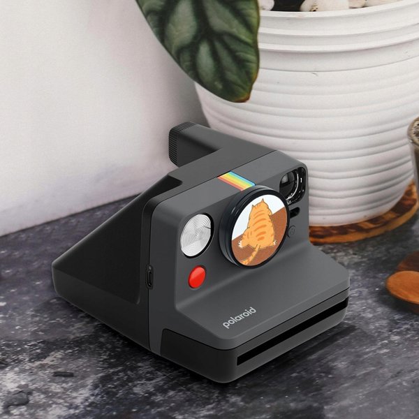 Naklejka Dekoracyjna 3m Na Dekielek Do Aparatu Aparat Polaroid Now Now+ / Kotki - Czarny