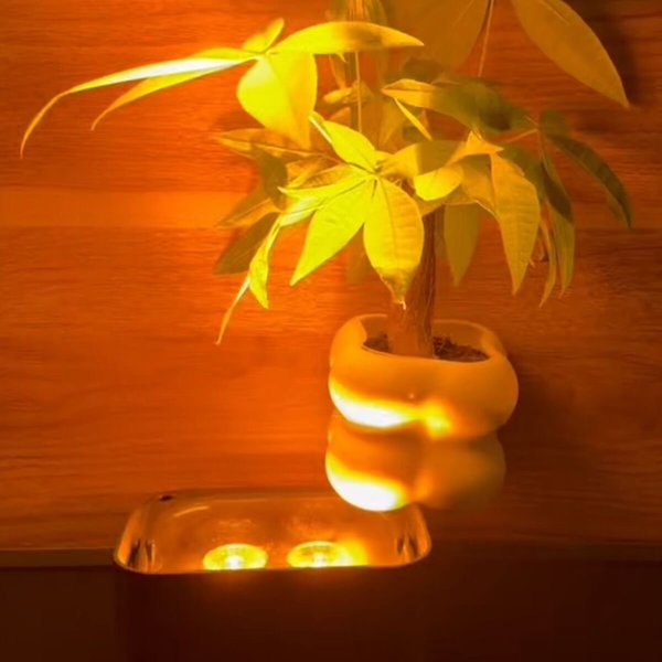 Προβολέας LIGHT4ME με μπαταρία PAR LED DMX W-DMX Wi‑Fi, τηλεχειριστήριο, 6x10W RGBWAUV