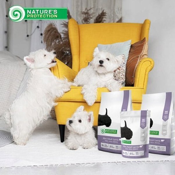 Nature’s Protection Mini Adult Lamb Ξηρά Τροφή Σκύλων για Μικρόσωμες Φυλές, 2kg