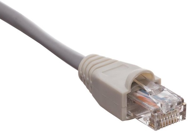 NetRack Oslonka na wtyk RJ45 szara 100 szt NP48